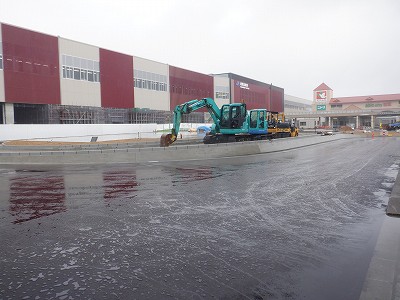 ���ꉷ��w�摜