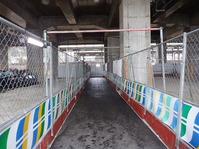 ���ꉷ��w�摜