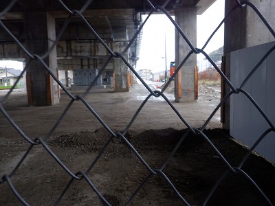 ���ꉷ��w�摜