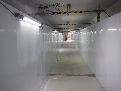 ���ꉷ��w�摜