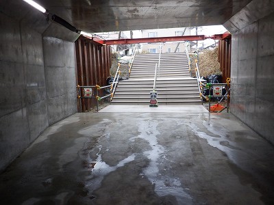 ���ꉷ��w�摜