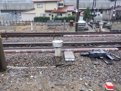 ���ꉷ��w�摜