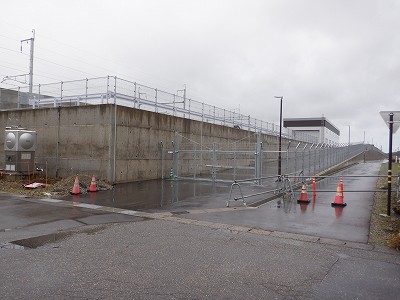 ���ꉷ��w�摜