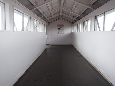 �����w�摜