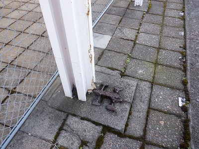 �����w�摜