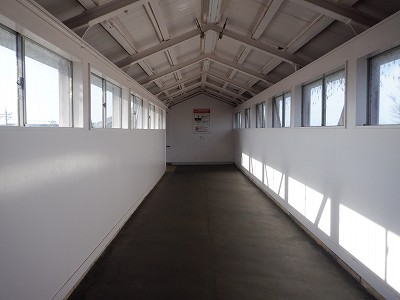 �����w�摜