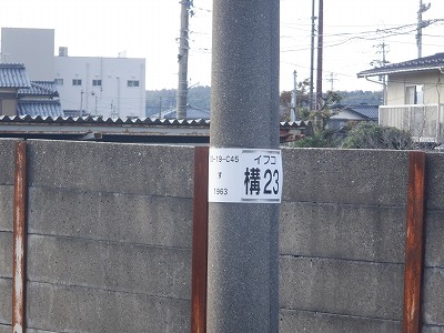 �����w�摜