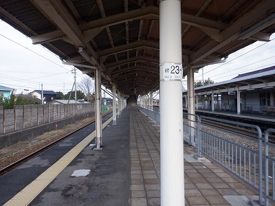 �����w�摜