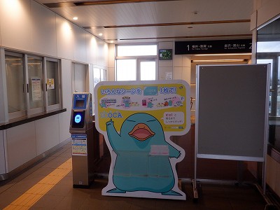 �\������w�摜