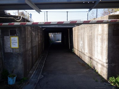 ��������w�摜