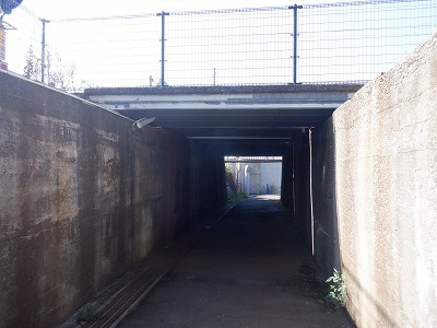 ��������w�摜