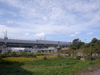 ��������w�摜