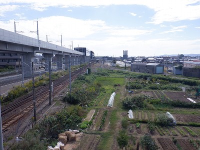 ��������w�摜