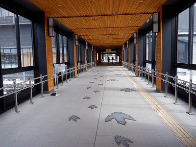 ��������w�摜