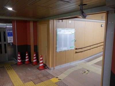 ���ꉷ��w�摜