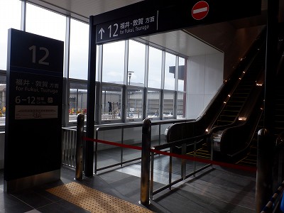 ���ꉷ��w�摜