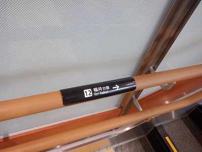 ���ꉷ��w�摜