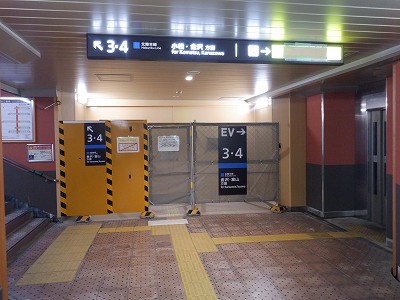 ���ꉷ��w�摜