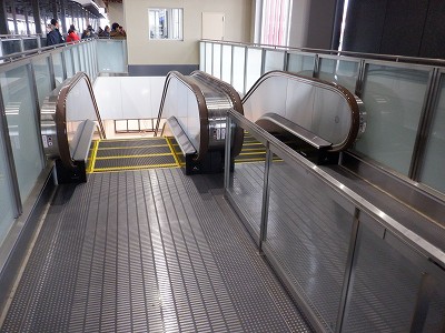 ���ꉷ��w�摜