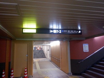 ���ꉷ��w�摜