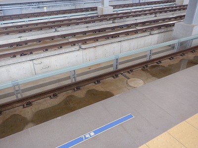 ���ꉷ��w�摜