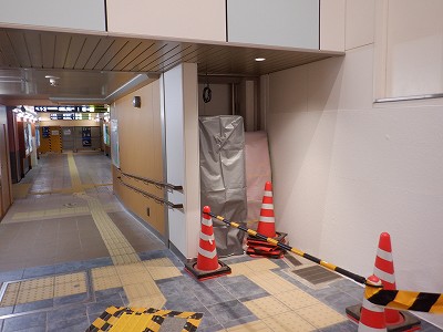 ���ꉷ��w�摜