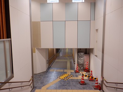 ���ꉷ��w�摜