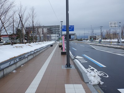 ���ꉷ��w�摜