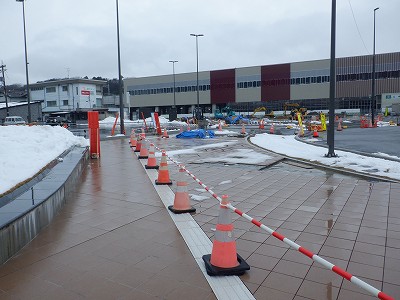 ���ꉷ��w�摜