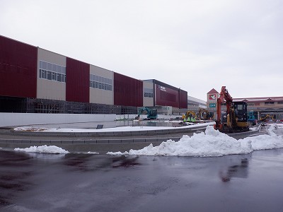 ���ꉷ��w�摜