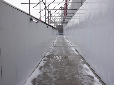 ���ꉷ��w�摜