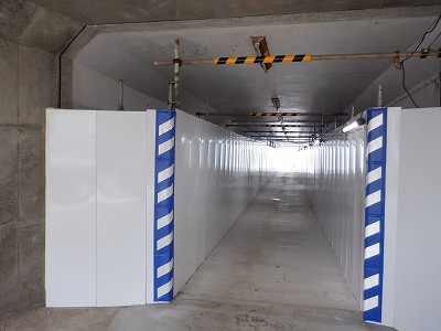 ���ꉷ��w�摜