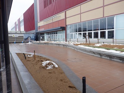 ���ꉷ��w�摜