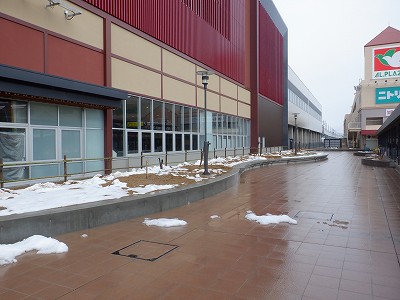 ���ꉷ��w�摜