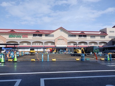 ���ꉷ��w�摜