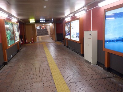 ���ꉷ��w�摜