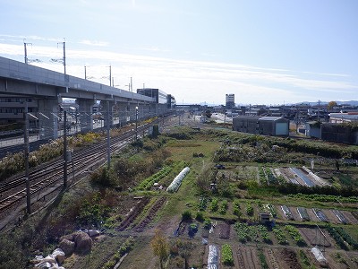 ��������w�摜