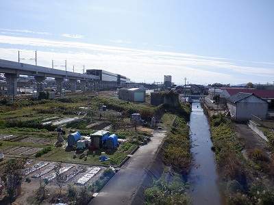 ��������w�摜