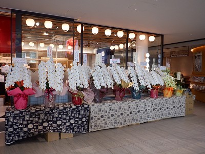 ��������w�摜