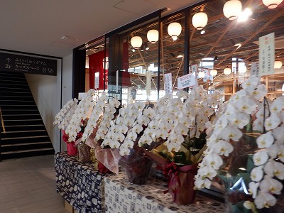 ��������w�摜