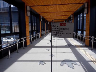 ��������w�摜