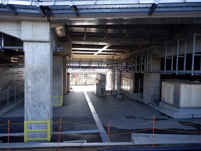 ���ꉷ��w�摜