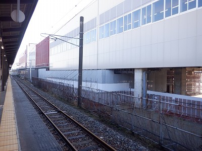 ���ꉷ��w�摜