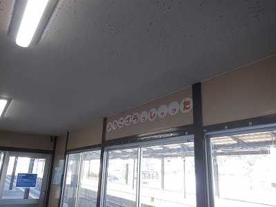 ���ꉷ��w�摜