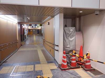 ���ꉷ��w�摜