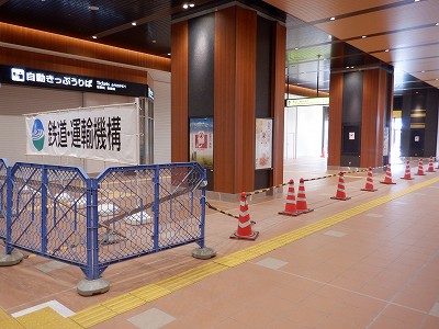 ���ꉷ��w�摜