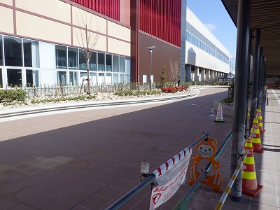 ���ꉷ��w�摜