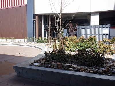 ���ꉷ��w�摜