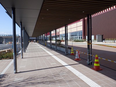 ���ꉷ��w�摜