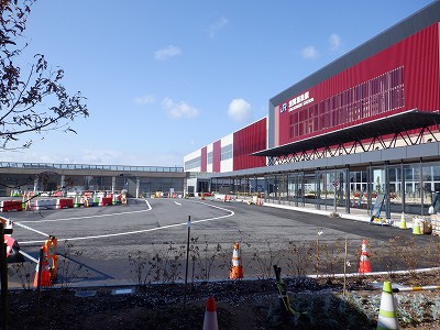 ���ꉷ��w�摜